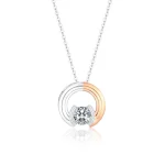 Elegant Rose Gold and Silver Circle Necklace