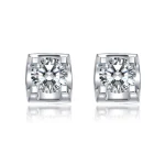 Elegant Sparkle Earring