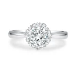 Elegant Sparkle Halo Ring